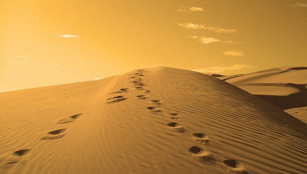 نجات 2 نوجوان مفقود شده در کویر بافق نجات ۲ نوجوان مفقود شده در کویر بافق