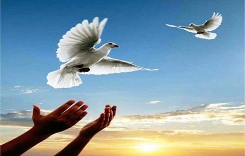 آزادی ۱۰ مددجو محکوم مالی به مناسبت اربعین حسینی آزادی ۱۰ مددجو محکوم مالی به مناسبت اربعین حسینی