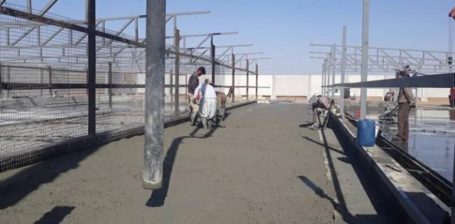 بهره برداری از کمپ نگهداری حیوانات بی سرپناه