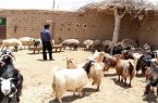 اعطای وام اشتغال به مددجویان خاتم اعطای وام اشتغال به مددجویان خاتم