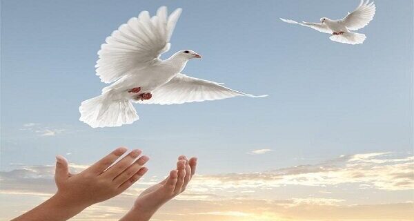 از مرمت لبخند تا مرمت امید