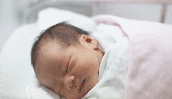 تولد بیش از ۸ هزار نوزاد در استان یزد تولد بیش از ۸ هزار نوزاد در استان یزد