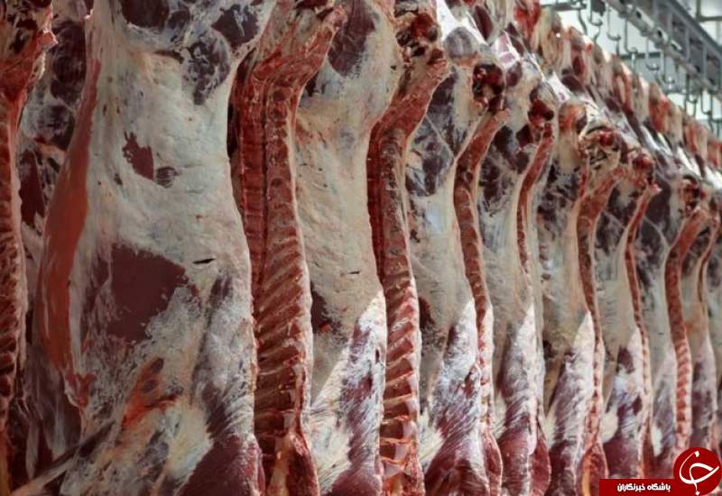 واردات گوشت قرمز منجمدوگرم به استان از هفته آینده
