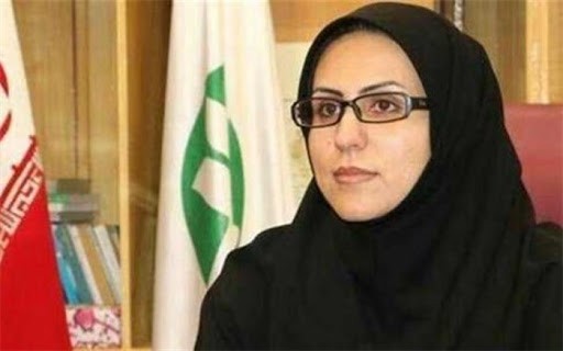 توقف احداث صنایع سنگین جدید در محور مهریز عقدا / بررسی وضعیت صنایع آلاینده استان توسط تیم‌های پایش