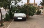 خسارت طوفان در بهاباد