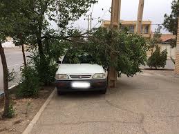 خسارت طوفان در بهاباد