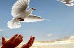 ۳۰۸ مددجوی محکوم مالی به آغوش خانواده بازگشتند