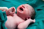 نرخ ولادت در استان یزد بالاتر از متوسط کشوری