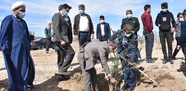 156 نهال به یاد شهدای شهرستان بهاباد غرس شد ۱۵۶ نهال به یاد شهدای شهرستان بهاباد غرس شد