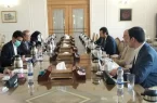 دیدار مشاور ارشد وزیر امور خارجه با مدیر کل کمیته بین المللی صلیب سرخ جهانی