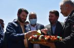 کلنگ احداث کارخانه آهن اسفنجی به ظرفیت ۷/۱ میلیون تن در بافق به زمین زده شد