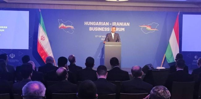 نشست مشترك فعالان اقتصادی ایران و مجارستان با حضور وزیر اقتصاد