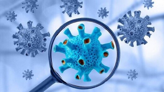 آمار کرونای یزد صعودی شد