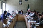 جلسه کارگروه مقدماتی ستاد پیگیری اجرای سیاست های اقتصاد مقاومتی قوه قضائیه استان برگزار شد