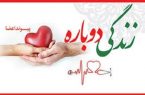 ثبت شانزدهمین مورد اهدای عضو در استان یزد ثبت شانزدهمین مورد اهدای عضو در استان یزد