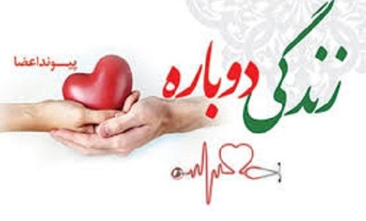 ثبت شانزدهمین مورد اهدای عضو در استان یزد ثبت شانزدهمین مورد اهدای عضو در استان یزد