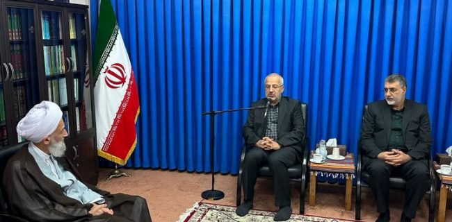 فرامین رهبر معظم انقلاب، راهبرد و چراغ راه ما در انتخابات است