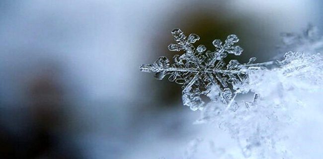 توصیه‌های کشاورزی هواشناسی استان