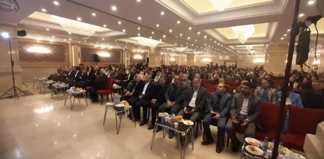 رشد قارچ گونه دلالان در ادارات ثبت/ خانواده ها به دنبال وکیا مدافع باشند رشد قارچ گونه دلالان در ادارات ثبت/ خانواده ها به دنبال وکیا مدافع باشند