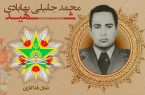 کمک همسر شهیدِ یزدی به آزادی زندانیان غیر عمد