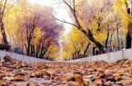 پیش بینی کاهش ۵ تا ۹ درجه‌ای دمای هوای استان