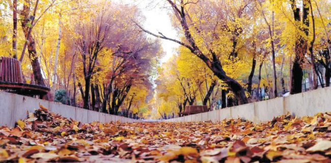 پیش بینی کاهش ۵ تا ۹ درجه‌ای دمای هوای استان