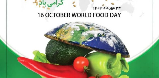 نان کامل و اثرات آن بر سلامتی