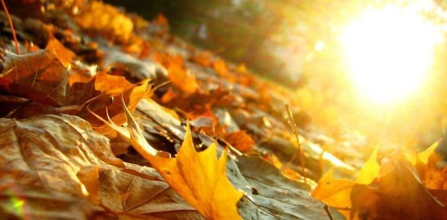 تداوم روند افزایش دما تا روز سه شنبه در استان یزد تداوم روند افزایش دما تا روز سه شنبه در استان یزد