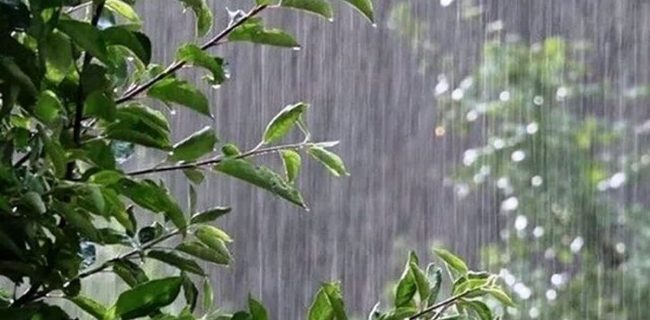 بارش ۱۳ میلیمتری باران در همیجان بهاباد