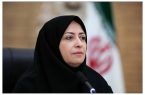 ملاحظات محیط‌زیستی درباره جمع‌آوری درختان شکسته و افتاده در جنگل‌ها مورد توجه قرار خواهد گرفت