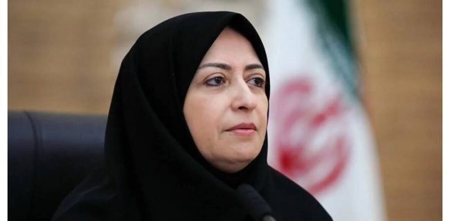 ملاحظات محیطزیستی درباره جمعآوری درختان شکسته و افتاده در جنگلها مورد توجه قرار خواهد گرفت ملاحظات محیطزیستی درباره جمعآوری درختان شکسته و افتاده در جنگلها مورد توجه قرار خواهد گرفت