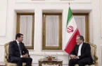 دیدار دستیار رئیس جمهور آذربایجان با وزیر امور خارجه