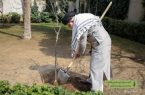 نهضت ملی درختکاری جدی گرفته شود و ادامه یابد