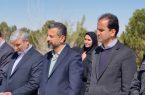 غرس ۱۰۰ اصله نهال زیتون در پارک بزرگ شهر اشکذر