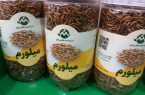دستاورد جدید شرکت دانش‌بنیان مهریزی در کشاورزی نوین