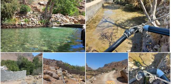 مایه حیات در گل افشان منشاد به یغما برده می شود مایه حیات در گل افشان منشاد به یغما برده می شود