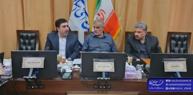 پیگیری علت خاموشی‌های اخیر استان یزد در نشست با مدیرعامل توانیر