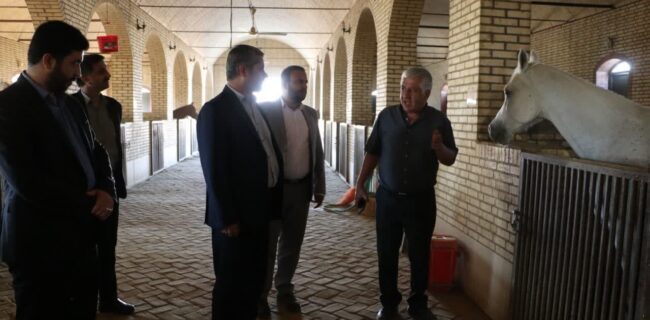 بازدید دادستان یزد از مرکز پرورش اسب اصیل عرب اشکذر/ تأکید بر حمایت از فعالیت های گردشگری تلفیقی بازدید دادستان یزد از مرکز پرورش اسب اصیل عرب اشکذر/ تأکید بر حمایت از فعالیت های گردشگری تلفیقی