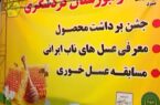 اجرای طرح زنبورستان گردشگری در استان یزد