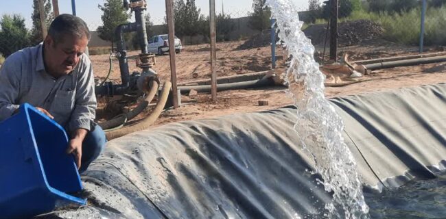 رهاسازی دو هزار قطعه بچه ماهی قزلآلا در استخر پرورشی دانشگاه آزاد اسلامی اشکذر رهاسازی دو هزار قطعه بچه ماهی قزلآلا در استخر پرورشی دانشگاه آزاد اسلامی اشکذر