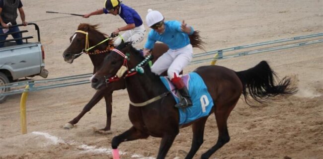 رقابت ۶۰ چابکسوار در هفته نهم کورس پاییزه یزد