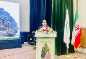 تأکید معاون استاندار یزد بر لزوم ثبت جهانی سرو ابرکوه / سرو ابرکوه گنجینه‌ای جهانی و نماد هویت ایرانی است