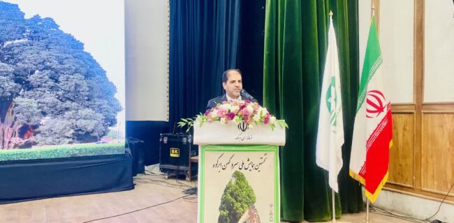 تأکید معاون استاندار یزد بر لزوم ثبت جهانی سرو ابرکوه / سرو ابرکوه گنجینهای جهانی و نماد هویت ایرانی است تأکید معاون استاندار یزد بر لزوم ثبت جهانی سرو ابرکوه / سرو ابرکوه گنجینهای جهانی و نماد هویت ایرانی است