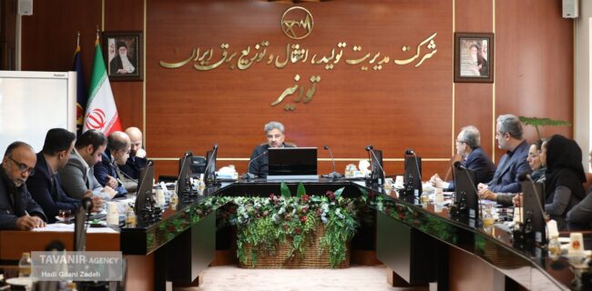 تاکید مدیرعامل توانیر بر رفع مشکلات شرکتهای تولیدکننده کنتور هوشمند تاکید مدیرعامل توانیر بر رفع مشکلات شرکتهای تولیدکننده کنتور هوشمند