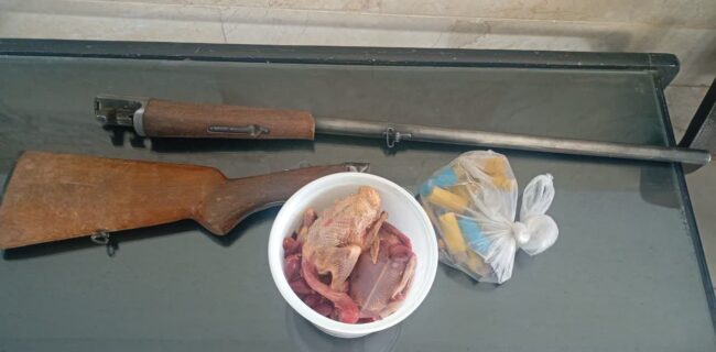 شکارچی کبوتران وحشی در تفت دستگیر شد