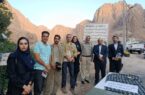 سرو کهنسال شادکام، میراثی زنده در آغوش طبیعت منطقه حفاظت شده کوه بافق