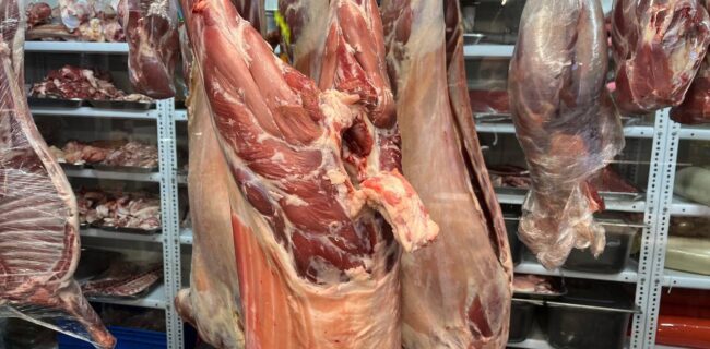 جلوگیری از ورود یک تن گوشت آلوده به بازار مصرف در اشکذر/سلامت عمومی اولویت اصلی دامپزشکی است جلوگیری از ورود یک تن گوشت آلوده به بازار مصرف در اشکذر/سلامت عمومی اولویت اصلی دامپزشکی است