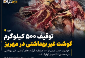 توقیف ۵۰۰ کیلوگرم گوشت غیربهداشتی در مهریز