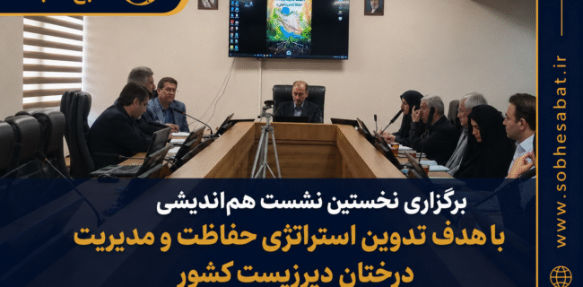 یزد میزبان نخستین نشست تدوین استراتژی حفاظت از درختان دیرزیست کشور یزد میزبان نخستین نشست تدوین استراتژی حفاظت از درختان دیرزیست کشور