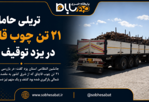 تريلی حامل ۲۱ تن چوب قاچاق در یزد توقيف شد